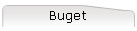 Buget