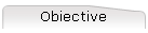 Obiective